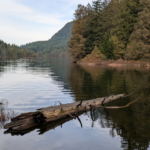 Regenerating Ourselves While Regenerating the Environment: What I Learned from the Regenerative Practitioner Series